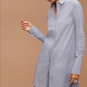 Aritzia Babaton longsleeve shirt dress